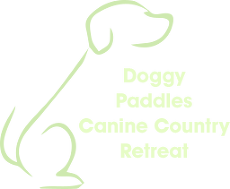 Doggy day care | Doggy Paddles Canine Country Retreat